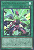 Triple Borrel Launch (V.1 - Ultra Rare) - Limit Over Collection: The Rivals (Ultra Rare) [LOCR-JP-018]